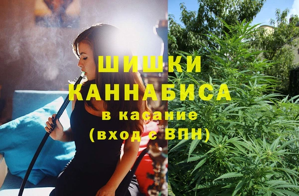трава Нея