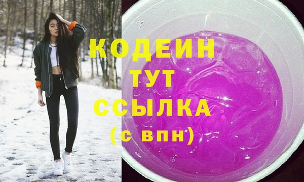 2c-b Новозыбков