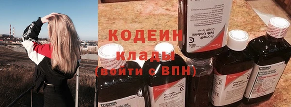 2c-b Новозыбков