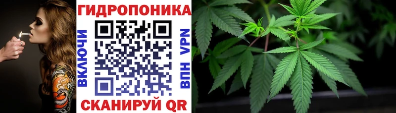 Канабис White Widow  Собинка 